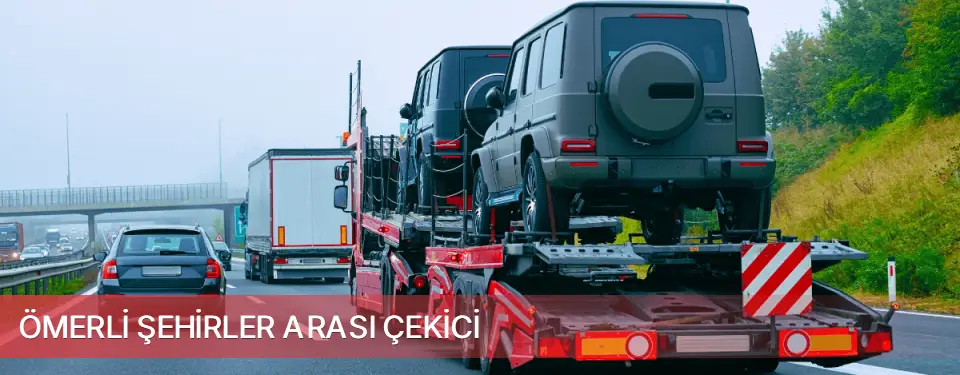 Ömerli İlçemi Şehirler Arası Çekici